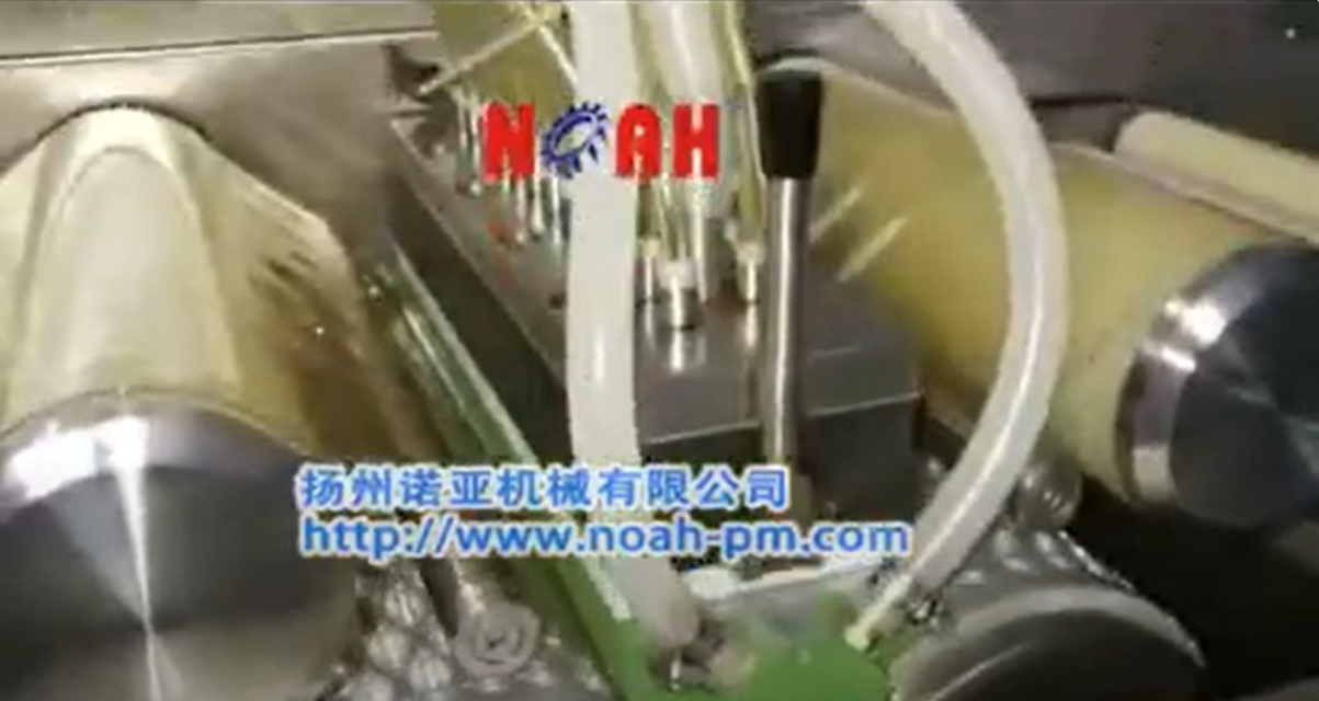 soft gel capsule filling machine