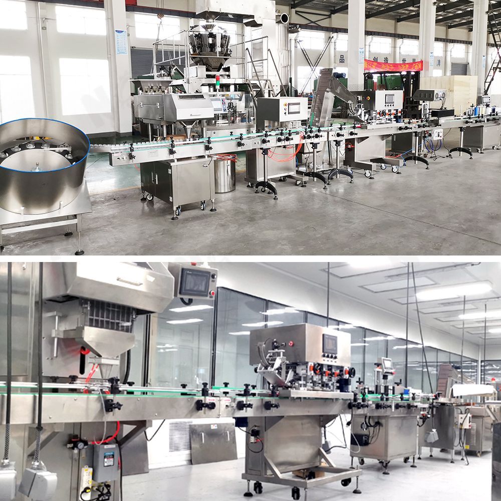 GS-8/12 Automatic Tablet Capsule Counting & Filling Production Line