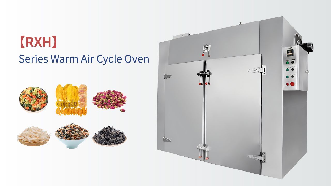 Hot Air Circulation Oven