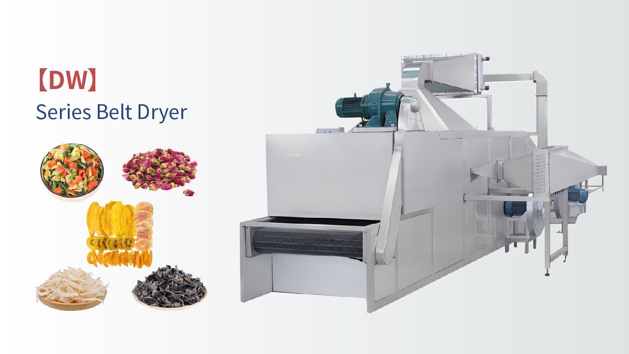 Belt dryer machine