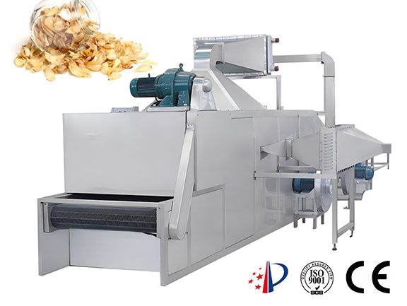 Fruit and Vegetable Processing Line