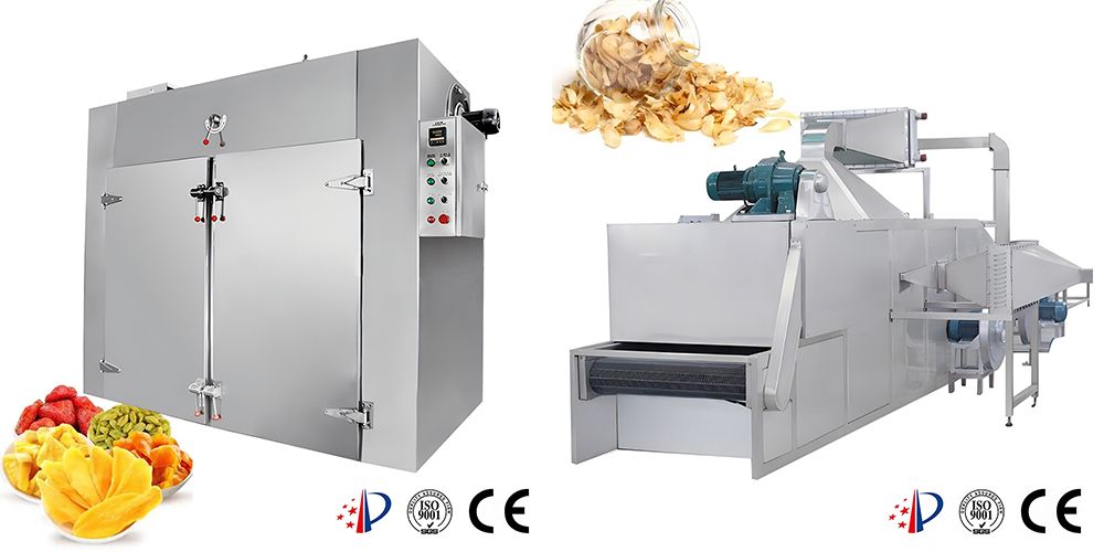 Fruit and Vegetable Processing Line